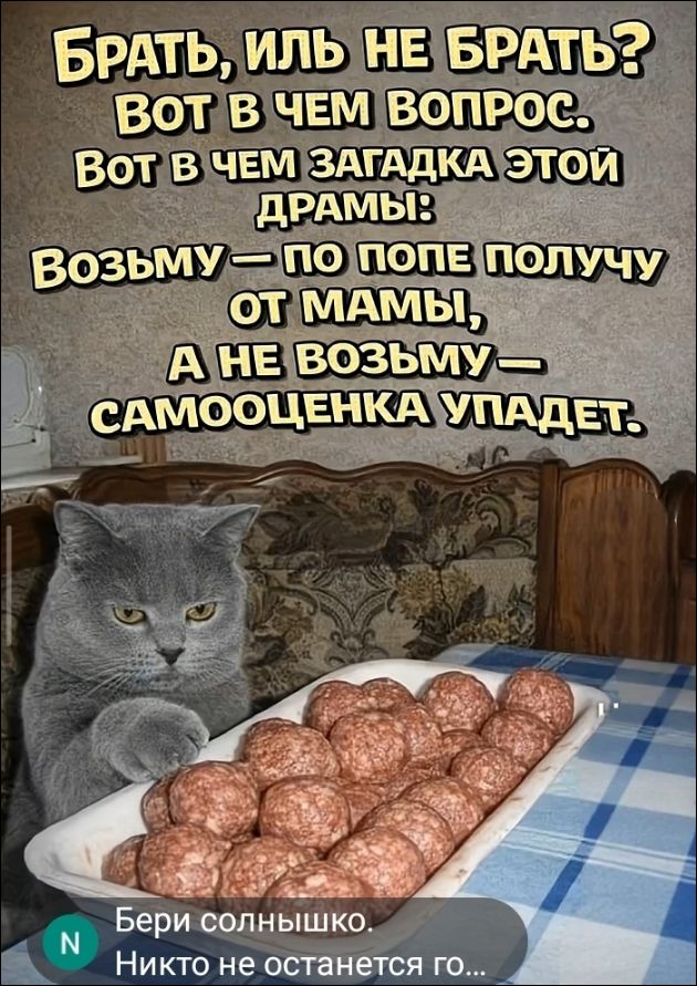 БРАТЬ, ИЛЬ НЕ БРАТЬ? ВОТ В ЧЕМ ВОПРОС. ВОТ В ЧЕМ ЗАГАДКА ЭТОЙ ДРАМЫ: ВОЗЬМУ — ПО ПОПЕ ПОЛУЧУ ОТ МАМЫ, А НЕ ВОЗЬМУ — САМООЦЕНКА УПАДЕТ. Бери солнышко. Никто не останется го...