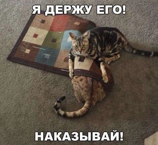 Я ДЕРЖУ ЕГО! НАКАЗЫВАЙ!