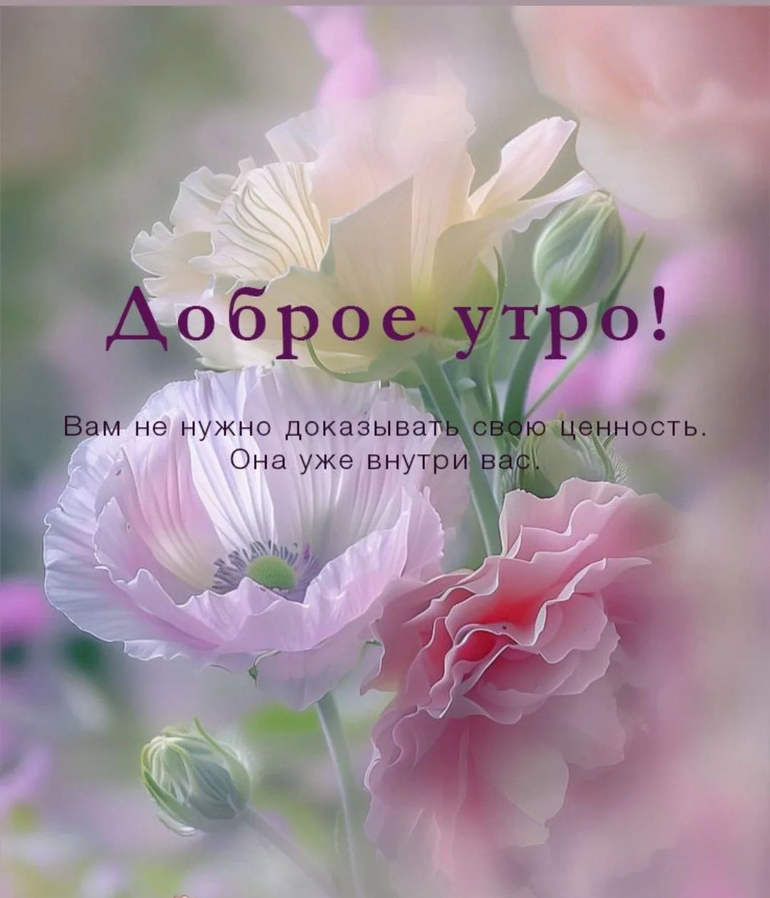 Доброе утро! Вам не нужно доказывать свою ценность. Она уже внутри вас.
