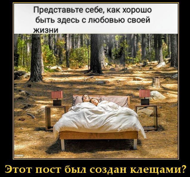Представьте себе, как хорошо быть здесь с любовью своей жизни
Этот пост был создан клещами?
