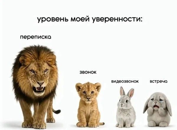 уровень моей уверенности: переписка звонок видеозвонок встреча