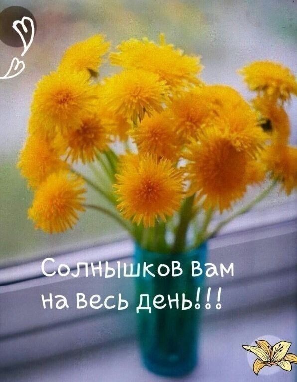 Солнышков вам На весь день!!!