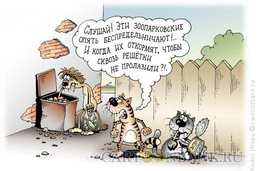 Слушай! Эти зоопарковские опять беспредельничают!.. И когда их откормят, чтобы сквозь решётки не пролазили?!