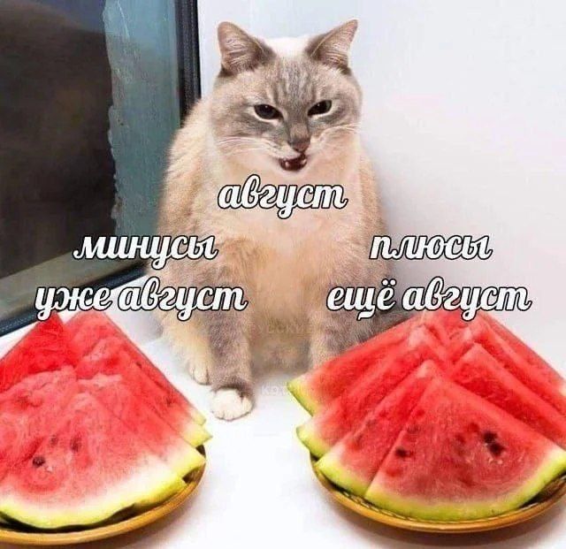 август минусы уже август плюсы ещё август