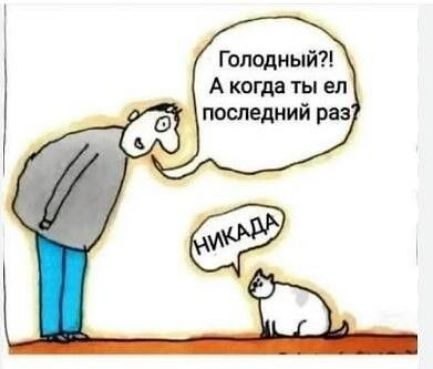 Голодный?! А когда ты ел последний раз? НИКАДА
