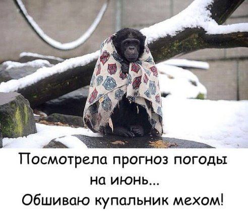 Посмотрела прогноз погоды на июнь... Обшиваю купальник мехом!