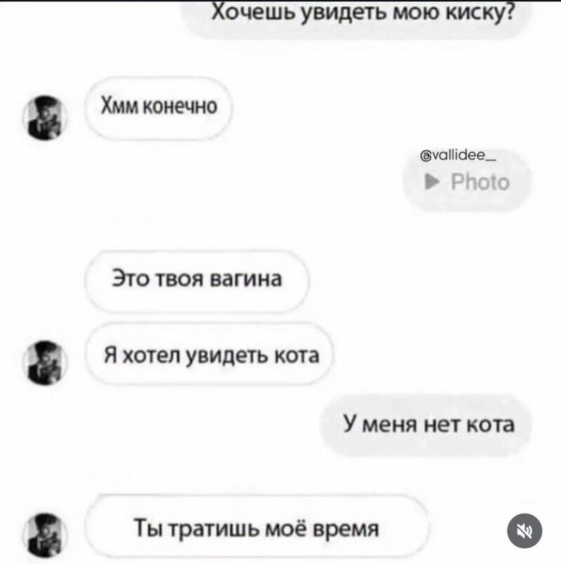 Хочешь увидеть мою киску? Хмм конечно @vallidee_ Photo Это твоя вагина Я хотел увидеть кота У меня нет кота Ты тратишь моё время