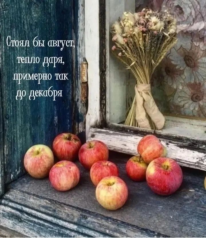 Стоял бы август, тепло даря, примерно так до декабря