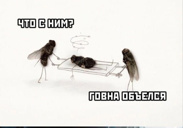 ЧТО С НИМ? ГОВНА ОБЪЕЛСЯ