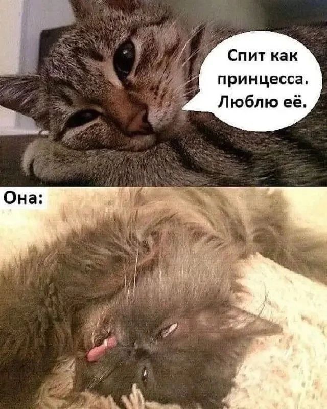 Спит как принцесса. Люблю её. Она:
