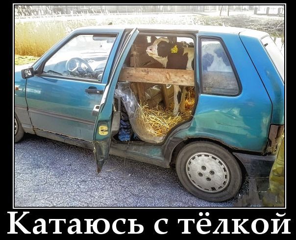 Катаюсь с тёлкой