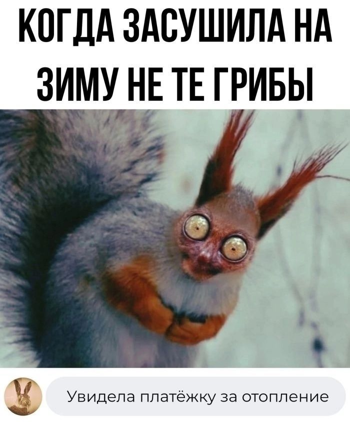 КОГДА ЗАСУШИЛА НА ЗИМУ НЕ ТЕ ГРИБЫ Увидела платёжку за отопление