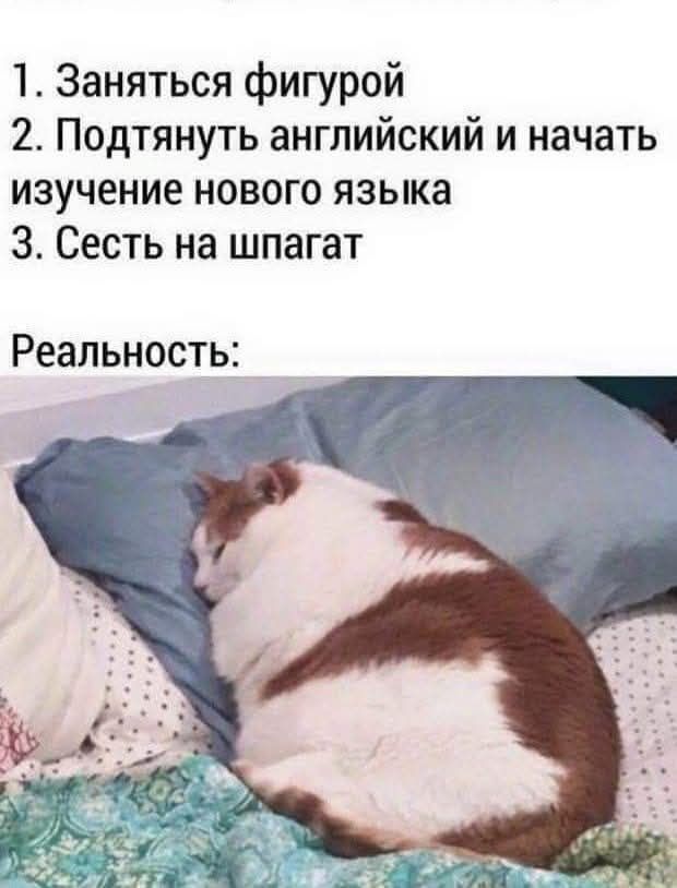 1. Заняться фигурой 2. Подтянуть английский и начать изучение нового языка 3. Сесть на шпагат Реальность: