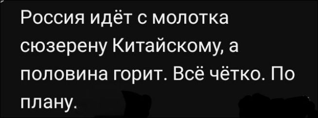 Россия идёт с молотка сюзерену Китайскому, а половина горит. Всё чётко. По плану.