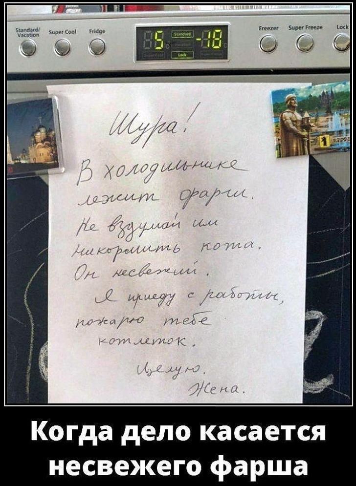 Шура! В холодильнике лежит фарш. Не вздумай им накормить кота. Он несвежий. Я приеду с работы, пожарю тебе котлеток. Целую. Жена. Когда дело касается несвежего фарша