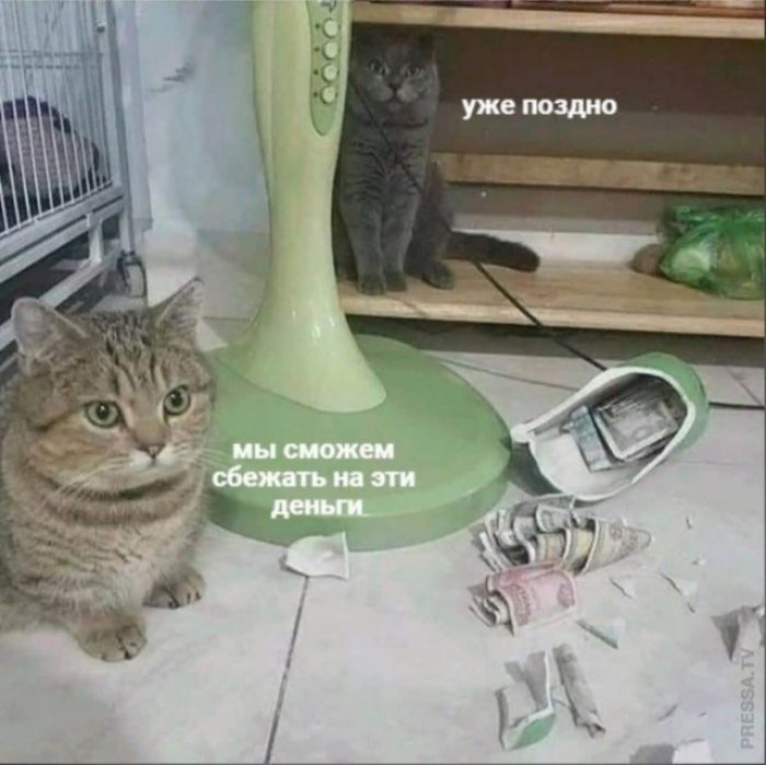 мы сможем сбежать на эти деньги уже поздно