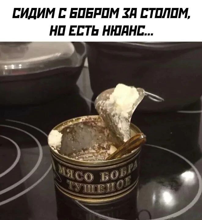 СИДИМ С БОБРОМ ЗА СТОЛОМ, НО ЕСТЬ НЮАНС... МЯСО БОБРА ТУШЕНОЕ
