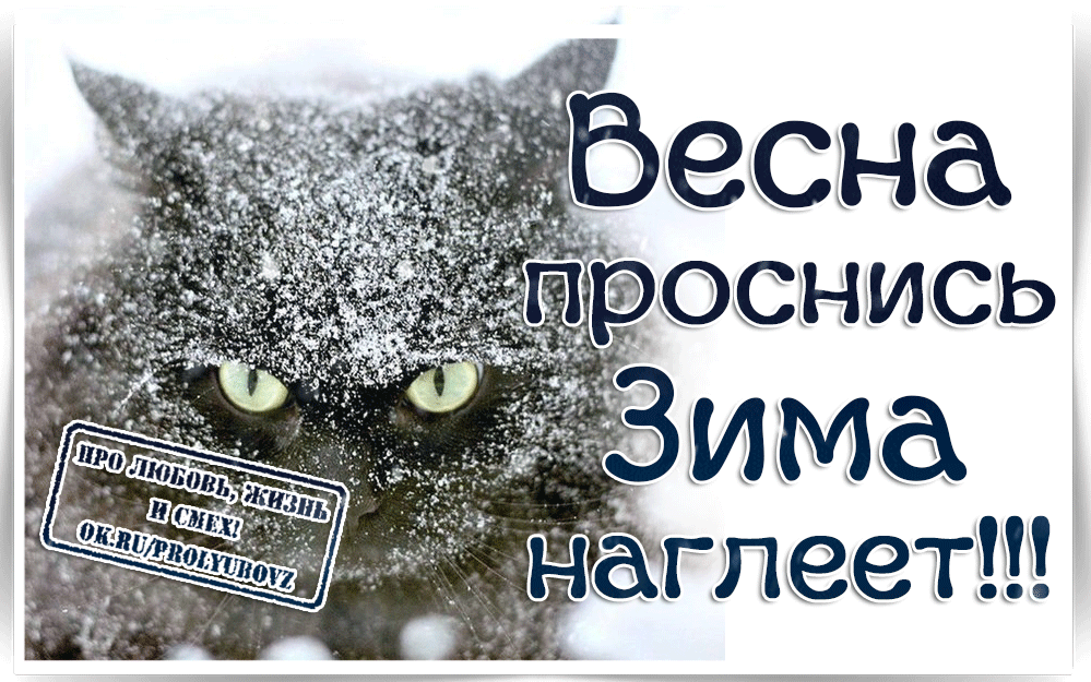 Весна проснись Зима наглеет!!! ПРО ЛЮБОВЬ, ЖИЗНЬ И СМЕХ! OK.RU/PROLYUBOVZ