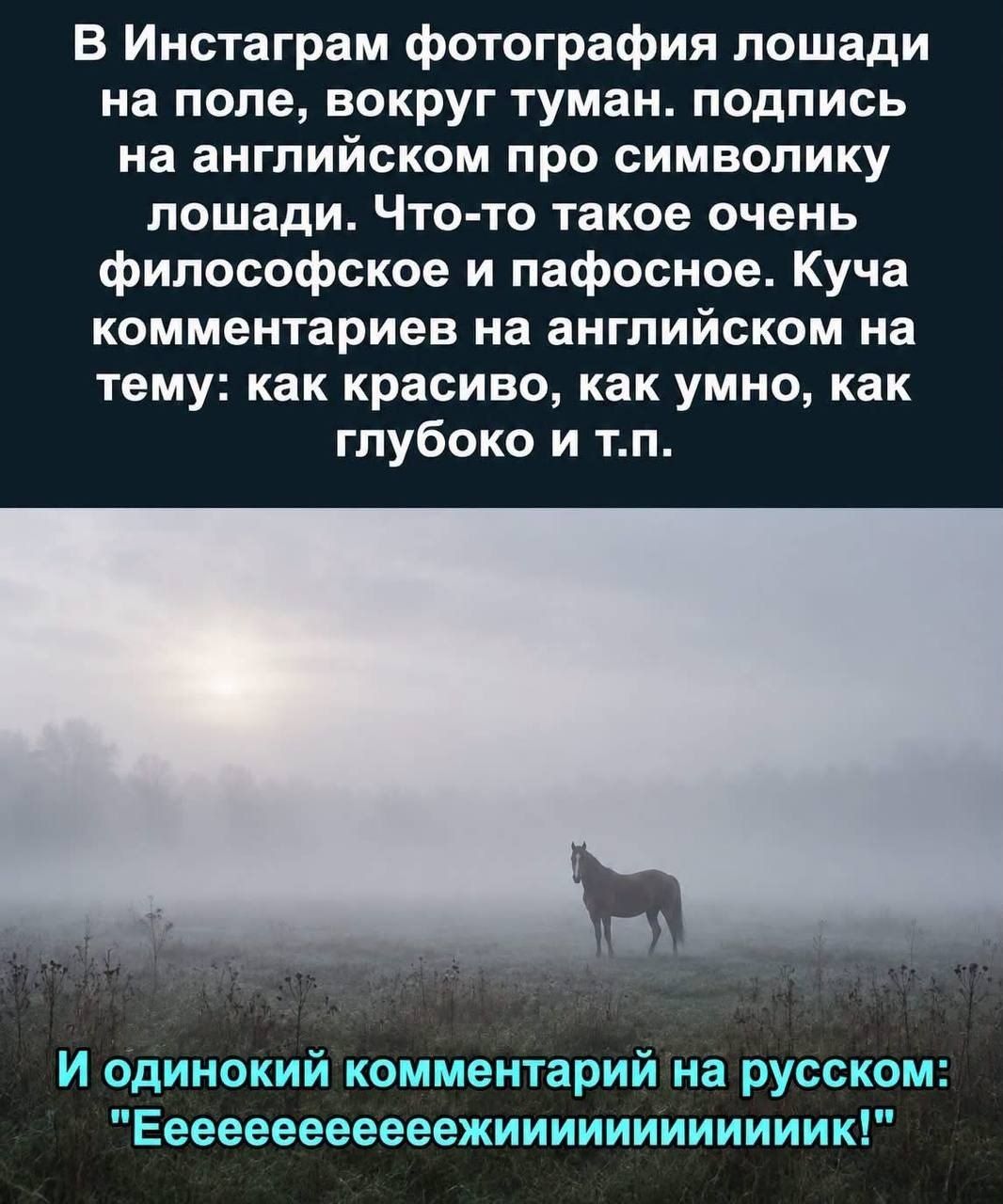 В Инстаграм фотография лошади на поле, вокруг туман. подпись на английском про символику лошади. Что-то такое очень философское и пафосное. Куча комментариев на английском на тему: как красиво, как умно, как глубоко и т.п. И одинокий комментарий на русском: 