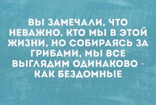 Вы замечали, что неважно, кто мы в этой жизни, но собираясь за грибами, мы все выглядим одинаково - как бездомные