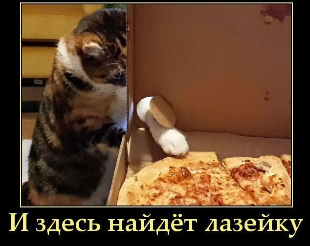 И здесь найдёт лазейку
