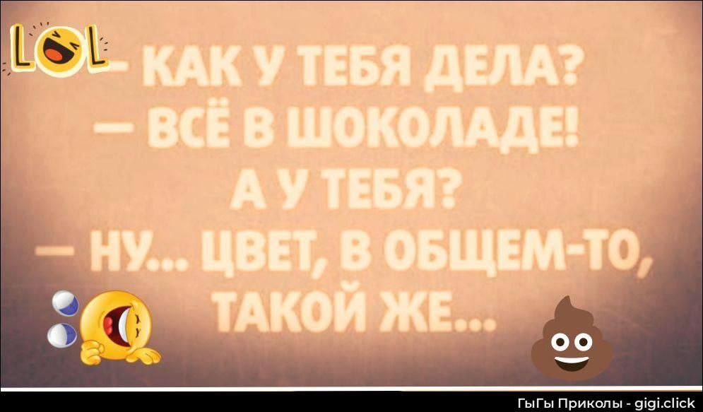 LOL – КАК У ТЕБЯ ДЕЛА? – ВСЁ В ШОКОЛАДЕ! А У ТЕБЯ? – НУ... ЦВЕТ, В ОБЩЕМ-ТО, ТАКОЙ ЖЕ... ГыГы Приколы - gigi.click