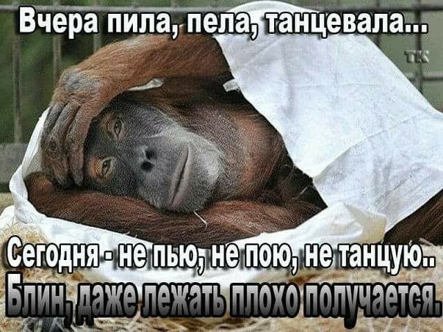 Вчера пила, пела, танцевала... Сегодня - не пью, не пою, не танцую.. Блин, даже лежать плохо получается.