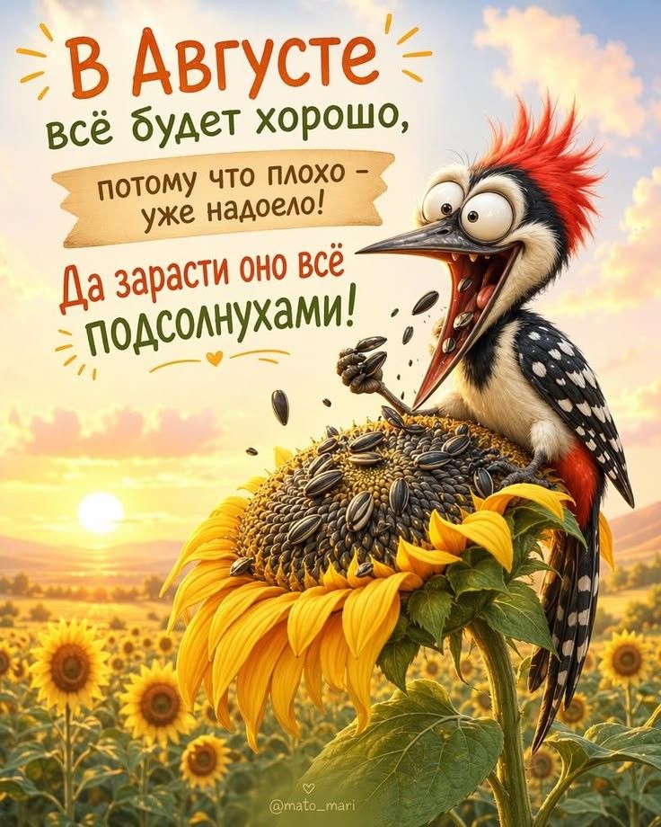 В августе всё будет хорошо, потому что плохо уже надоело! Да зарасти оно всё подсолнухами!