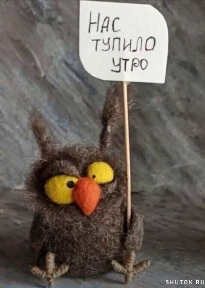 НАСТУПИЛО УТРО