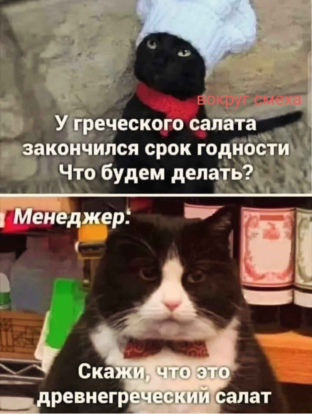 Вокруг смеха У греческого салата закончился срок годности Что будем делать? Менеджер: Скажи, что это древнегреческий салат