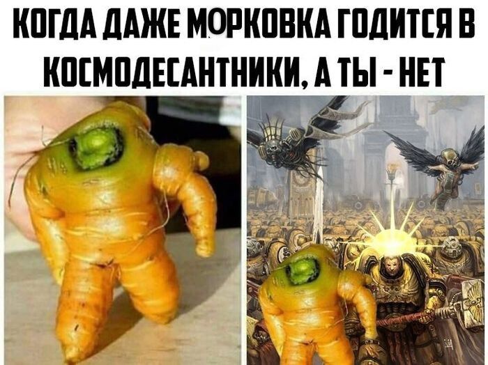 КОГДА ДАЖЕ МОРКОВКА ГОДИТСЯ В КОСМОДЕСАНТНИКИ, А ТЫ - НЕТ