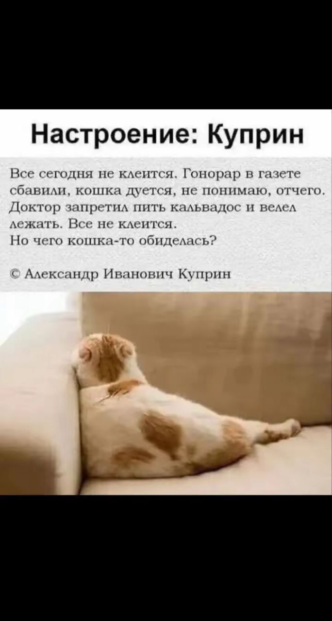 Настроение: Куприн Все сегодня не клеится. Гонорар в газете сбавили, кошка дуется, не понимаю, отчего. Доктор запретил пить кальвадос и велел лежать. Все не клеится. Но чего кошка-то обиделась? © Александр Иванович Куприн