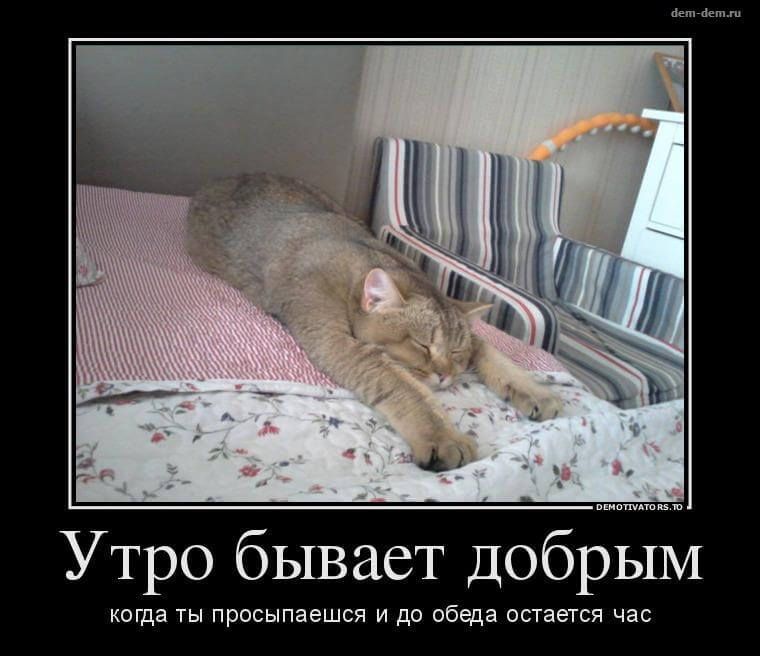 Утро бывает добрым когда ты просыпаешься и до обеда остается час