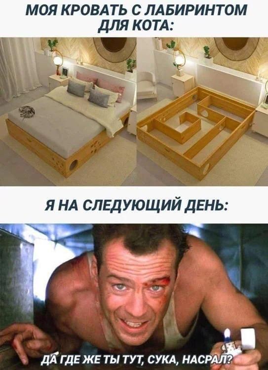 МОЯ КРОВАТЬ С ЛАБИРИНТОМ ДЛЯ КОТА: Я НА СЛЕДУЮЩИЙ ДЕНЬ: ДА ГДЕ ЖЕ ТЫ ТУТ, СУКА, НАСРАЛ?