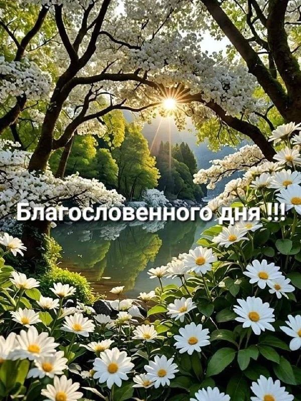 Благословенного дня !!!