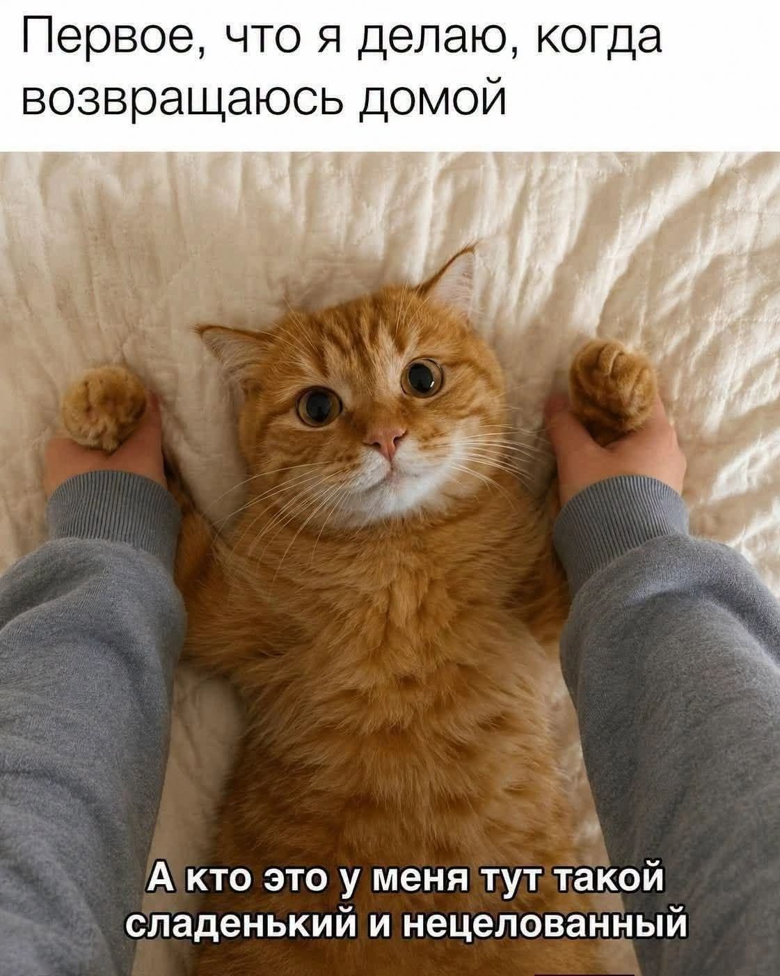 Первое, что я делаю, когда возвращаюсь домой. А кто это у меня тут такой сладенький и нецелованный