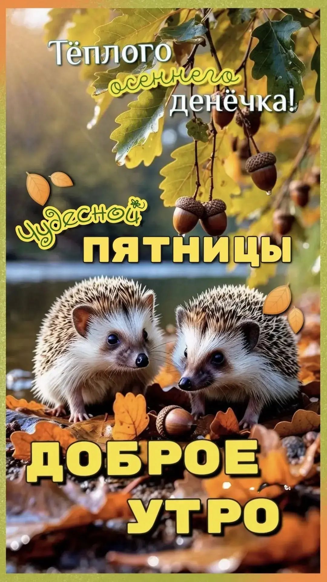 Тёплого осеннего денёчка! Чудесной пятницы! Доброе утро
