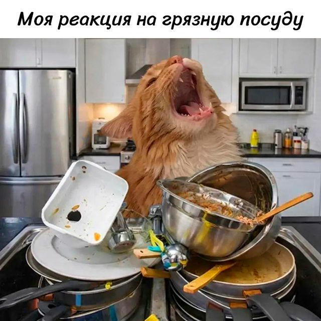 Моя реакция на грязную посуду