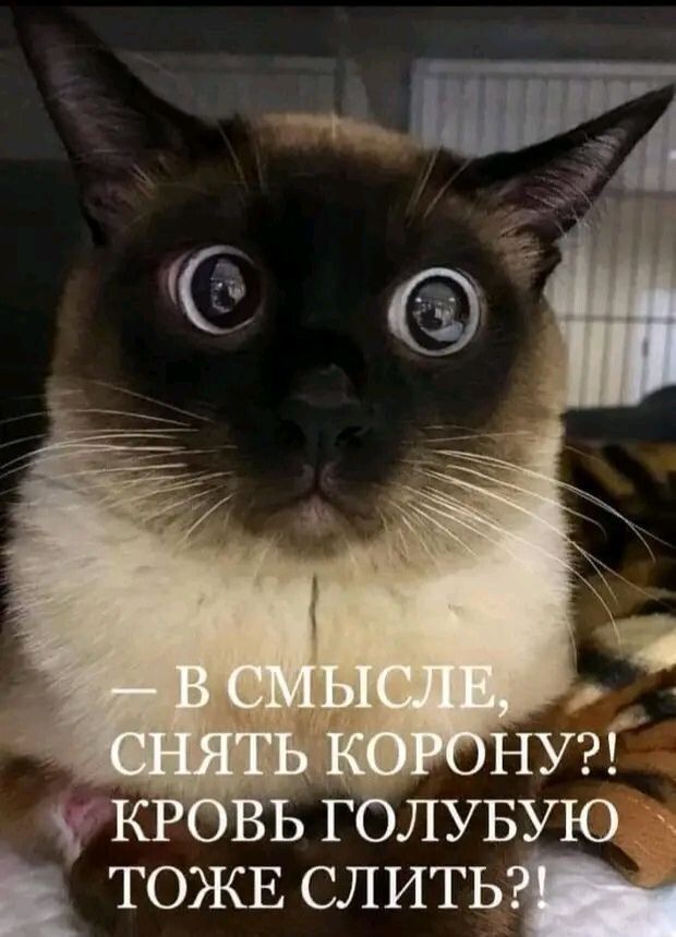 — В смысле, снять корону?! Кровь голубую тоже слить?!