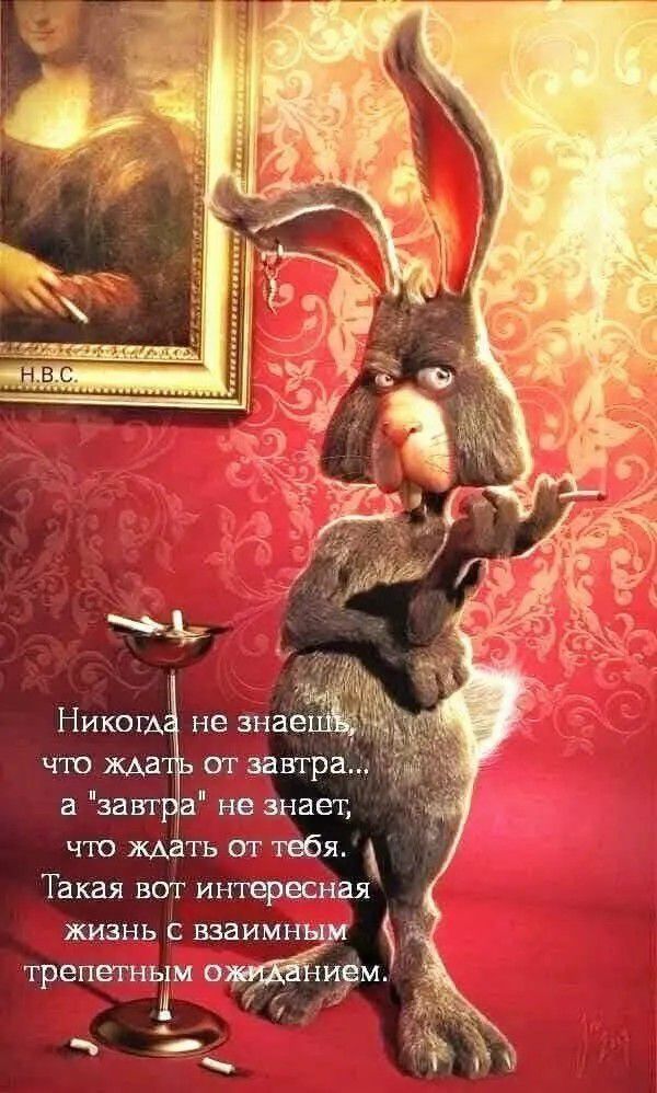 Никогда не знаешь, что ждать от завтра... а 
