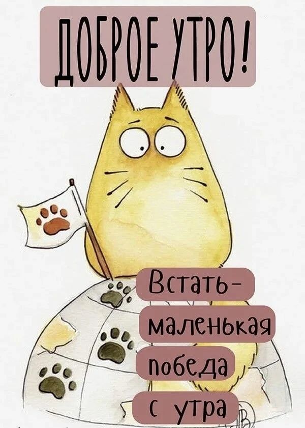 ДОБРОЕ УТРО! Встать - маленькая победа с утра