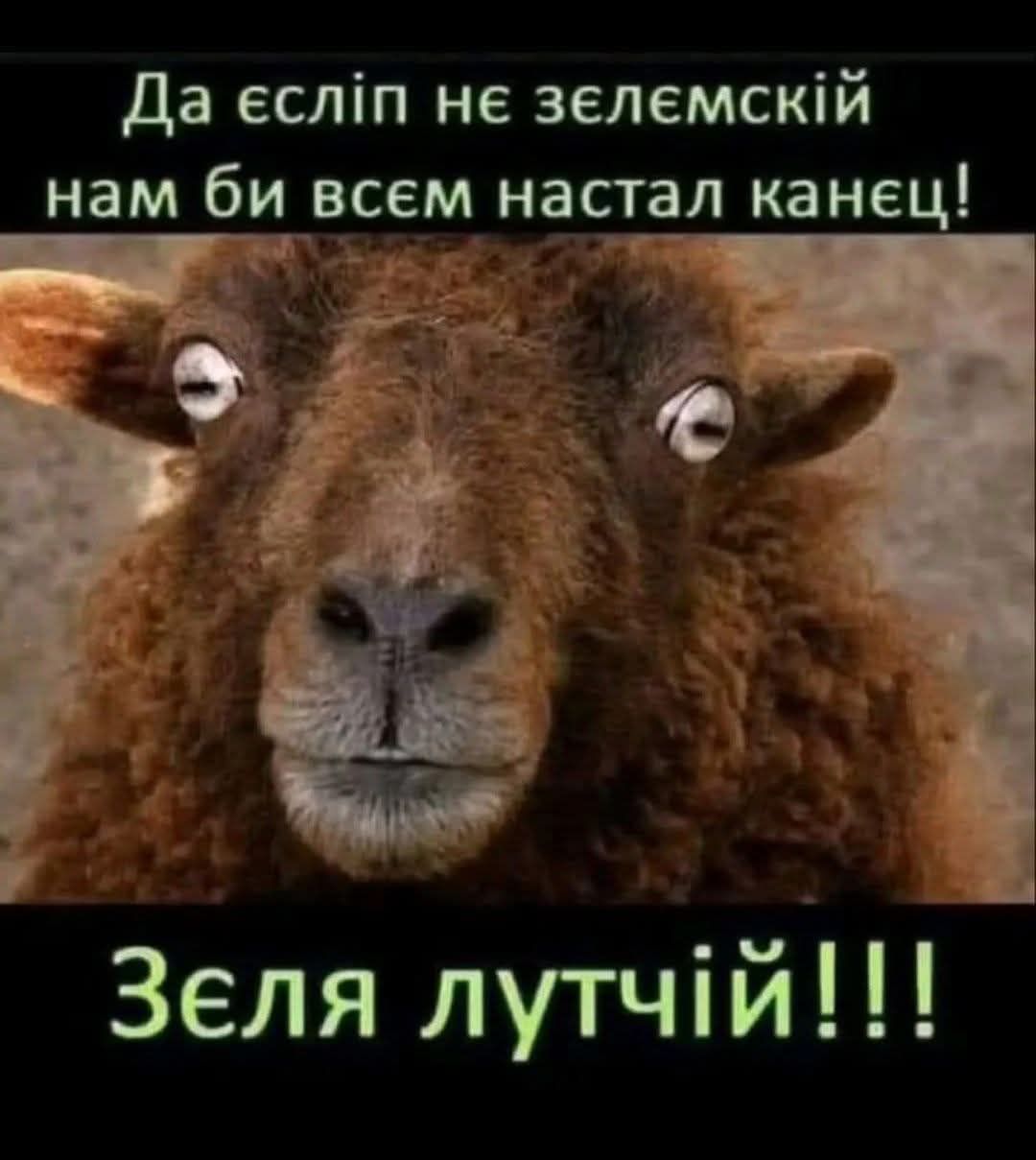 Да єсліп нє зєлємскій нам би всєм настал канєц! Зєля луччій!!!