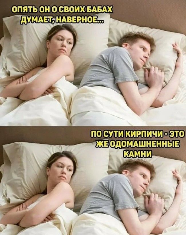 ОПЯТЬ ОН О СВОИХ БАБАХ ДУМАЕТ, НАВЕРНОЕ... ПО СУТИ КИРПИЧИ - ЭТО ЖЕ ОДОМАШНЕННЫЕ КАМНИ