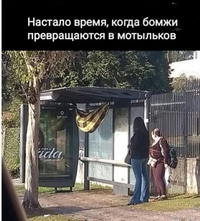 Настало время, когда бомжи превращаются в мотыльков