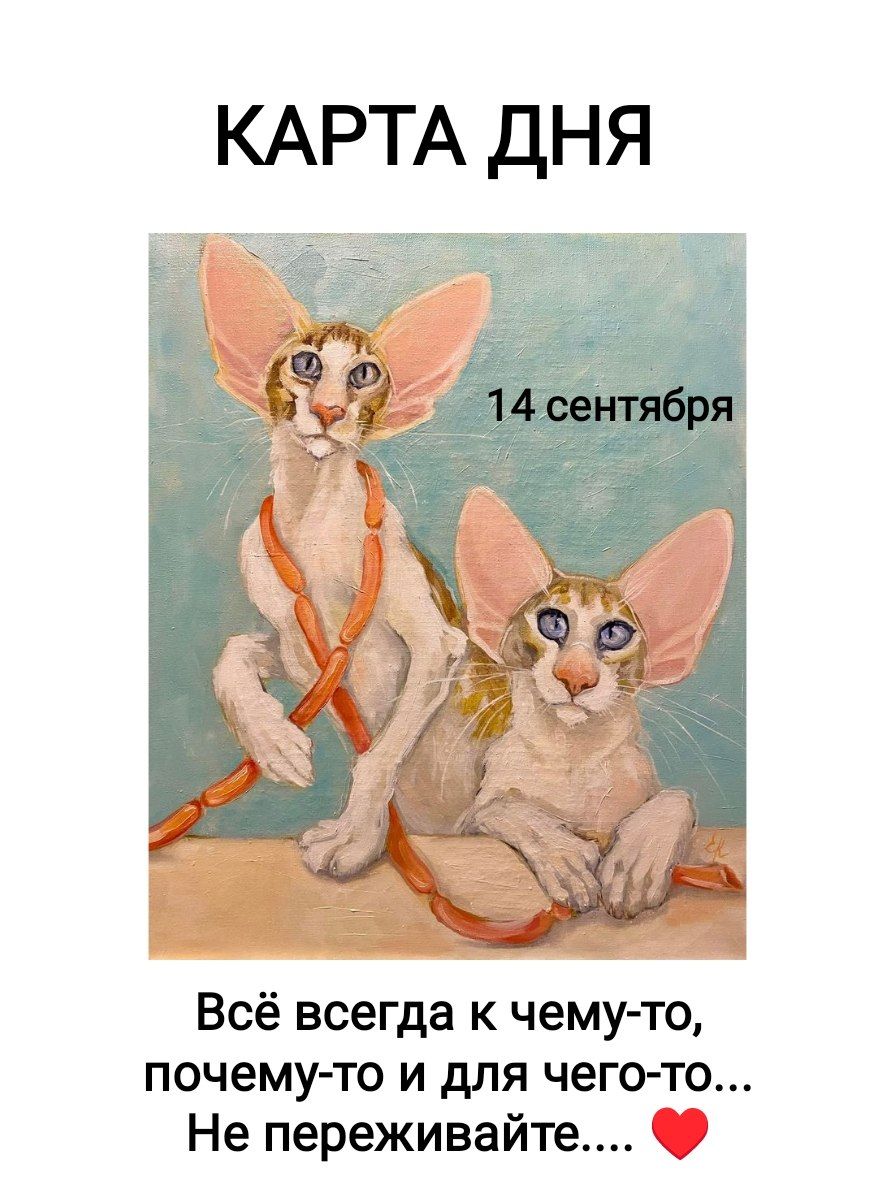 КАРТА ДНЯ 14 сентября Всё всегда к чему-то, почему-то и для чего-то... Не переживайте....