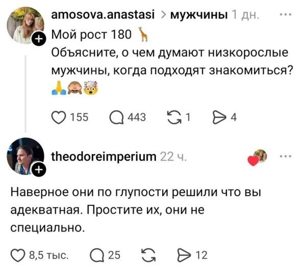 amosova.anastasi: Мой рост 180 🦒 Объясните, о чем думают низкорослые мужчины, когда подходят знакомиться? theodoreimperium: Наверное они по глупости решили что вы адекватная. Простите их, они не специально.