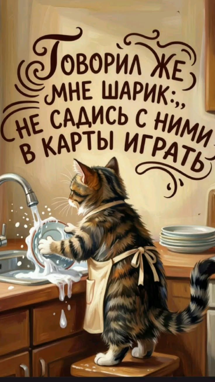 Говорил же, мне Шарик:, не садись с ними в карты играть