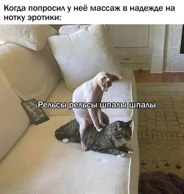 Когда попросил у неё массаж в надежде на нотку эротики: Рельсы рельсы шпалы шпалы