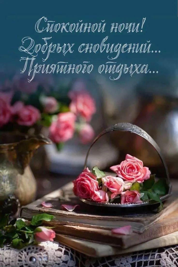 Спокойной ночи! Добрых сновидений... Приятного отдыха...