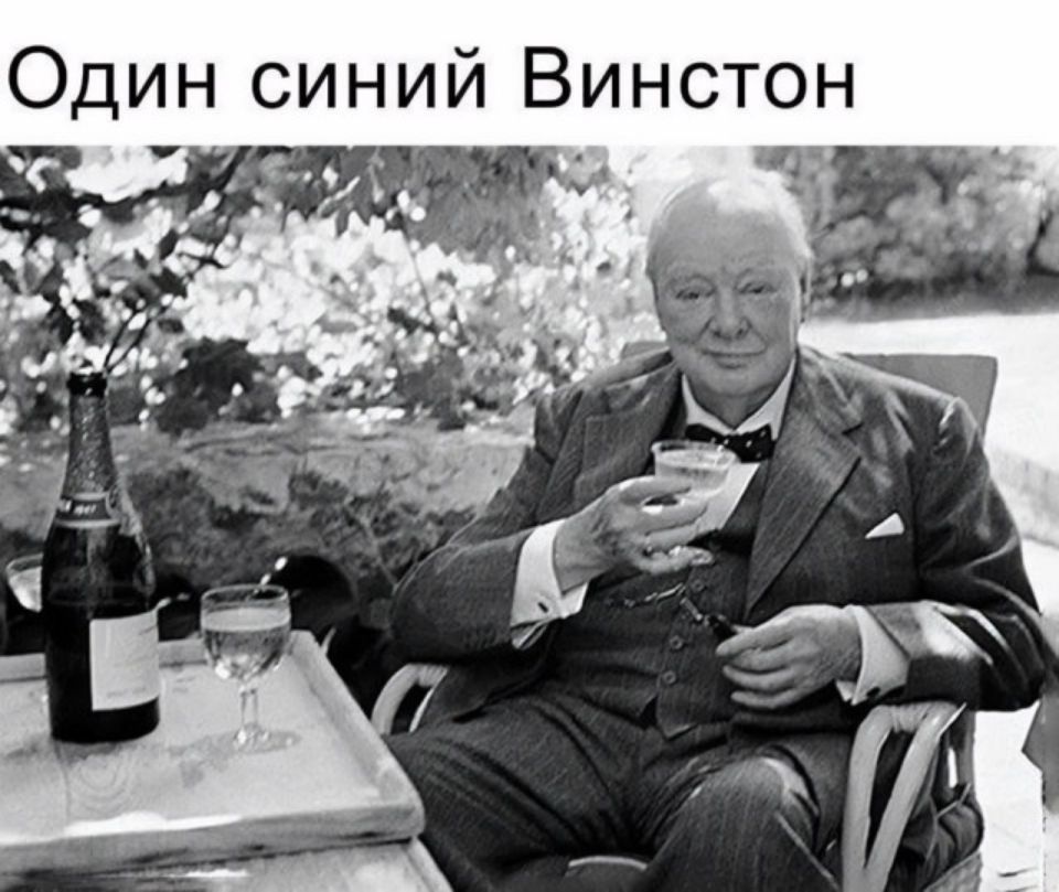 Один синий Винстон